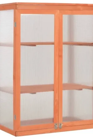 Serra ad armadio in legno con 2 ante e tetto apribili e copertura in policarbonato. Dimensioni 750 x 450 H 1090 mm Solo Oggi